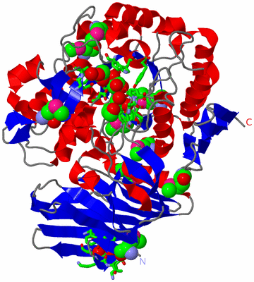 Image Asym./Biol. Unit - sites