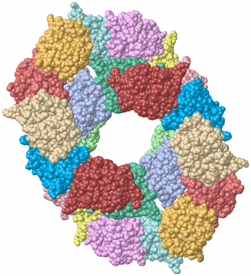 Image Biological Unit 1