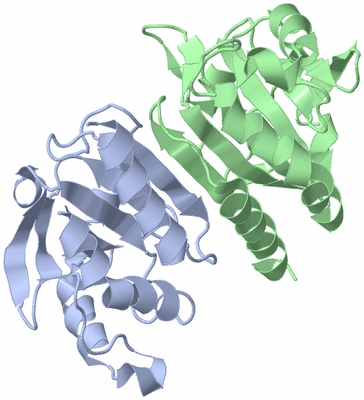 Image Biological Unit 3