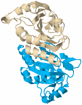 Image Biological Unit 7