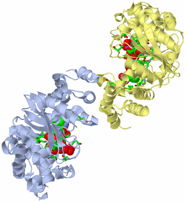 Image Biol. Unit 1 - sites