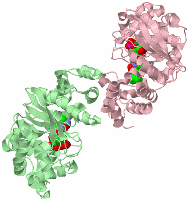 Image Biological Unit 2