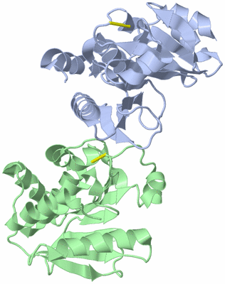 Image Asymmetric Unit