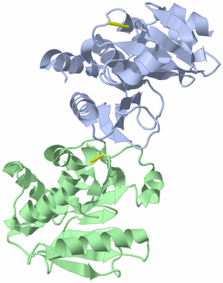 Image Asymmetric Unit