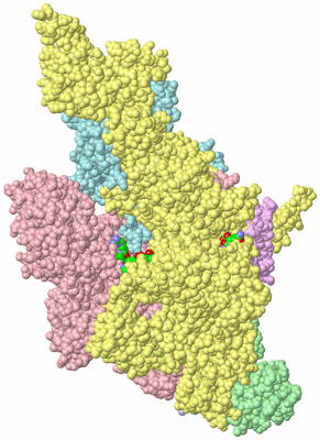 Image Biol. Unit 1 - sites