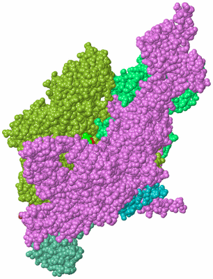 Image Biological Unit 2