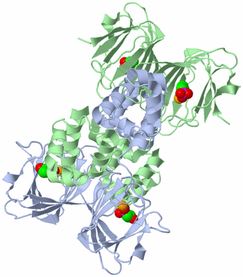 Image Biological Unit 1