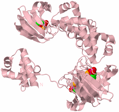 Image Biological Unit 2