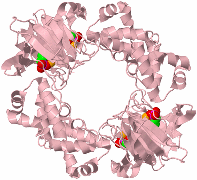 Image Biological Unit 3