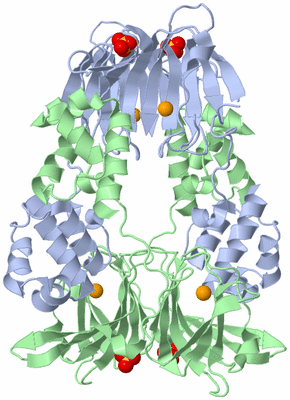 Image Biological Unit 1