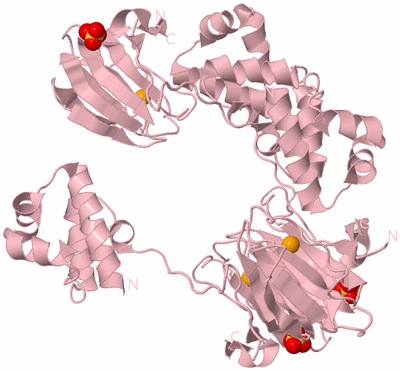 Image Biological Unit 2