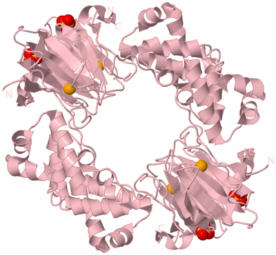 Image Biological Unit 3