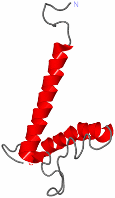 Image NMR Structure - model 1