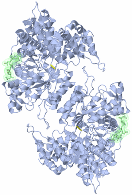 Image Biological Unit 1