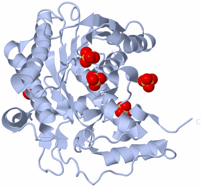 Image Biological Unit 1