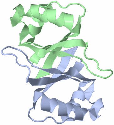 Image NMR Structure - model 1