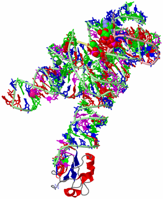 Image Asym./Biol. Unit