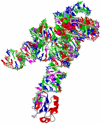 Image Asym./Biol. Unit - sites