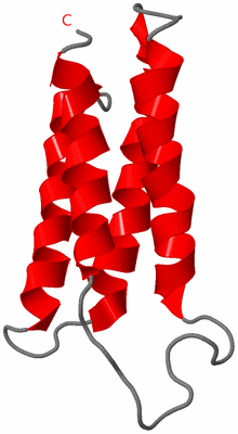 Image NMR Structure - model 1