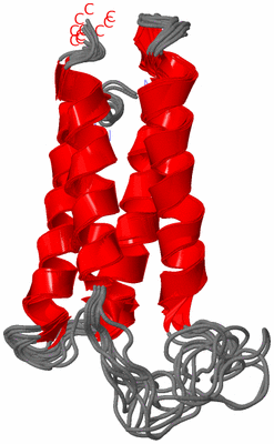 Image NMR Structure - all models