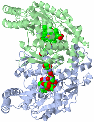 Image Asym./Biol. Unit