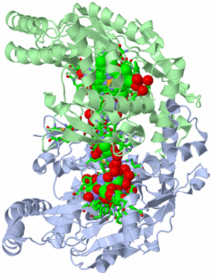 Image Asym./Biol. Unit - sites