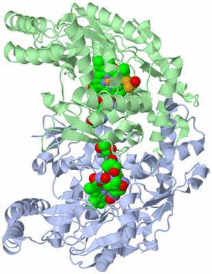 Image Asym./Biol. Unit