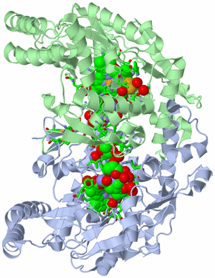 Image Asym./Biol. Unit - sites
