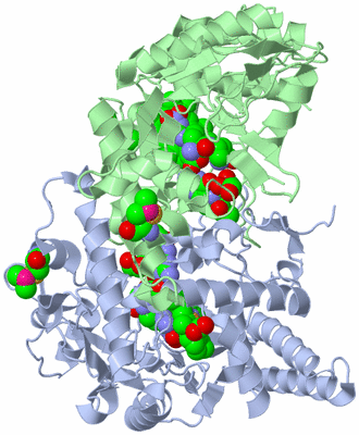 Image Asym./Biol. Unit