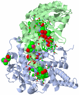 Image Asym./Biol. Unit - sites