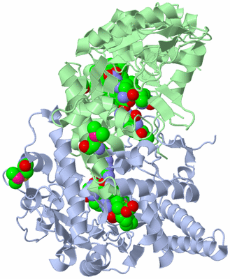 Image Asym./Biol. Unit