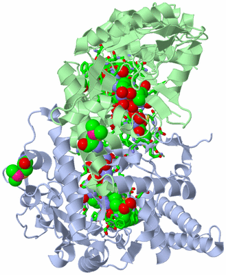 Image Asym./Biol. Unit - sites