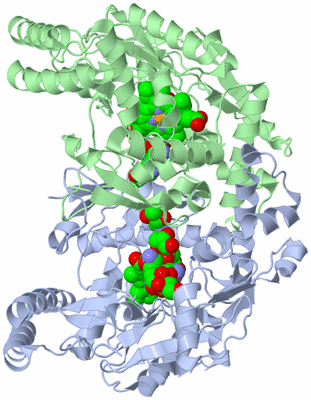 Image Asym./Biol. Unit