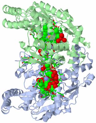 Image Asym./Biol. Unit - sites