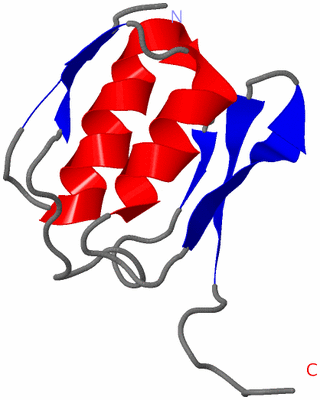 Image NMR Structure - model 1