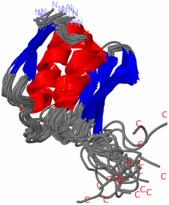 Image NMR Structure - all models