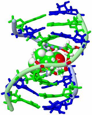 Image NMR Structure - model 1, sites