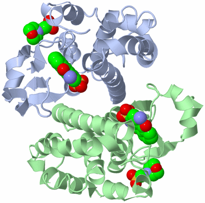 Image Asym./Biol. Unit