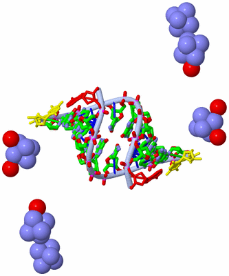 Image Biol. Unit 1 - sites