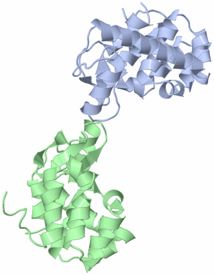 Image Asymmetric Unit