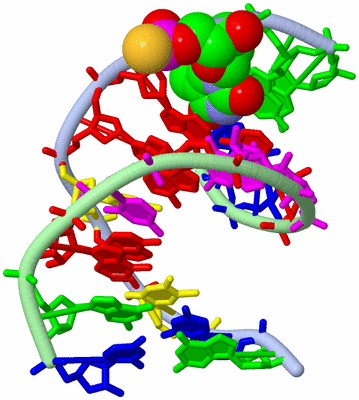 Image NMR Structure - model 1