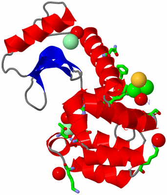 Image Asym./Biol. Unit - sites