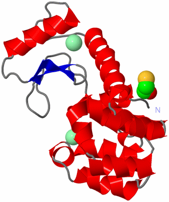 Image Asym./Biol. Unit