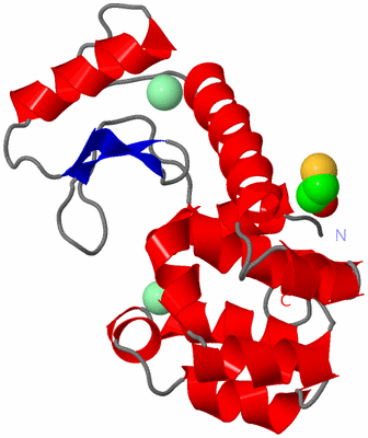 Image Asym./Biol. Unit