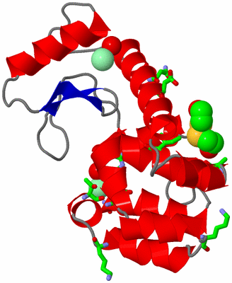 Image Asym./Biol. Unit - sites