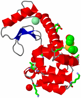 Image Asym./Biol. Unit - sites