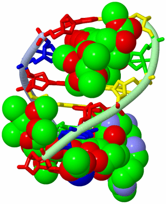 Image Biological Unit 1