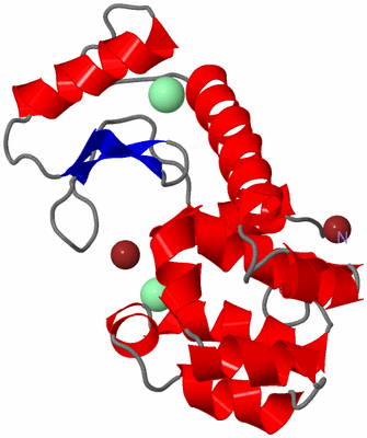 Image Asym./Biol. Unit