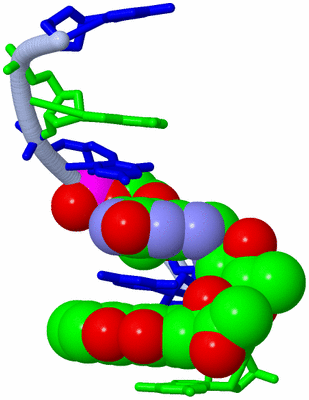 Image Asymmetric Unit