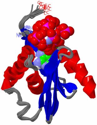 Image NMR Structure - all models